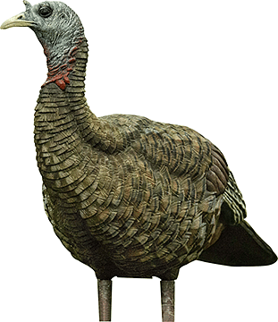 Turkey Decoys